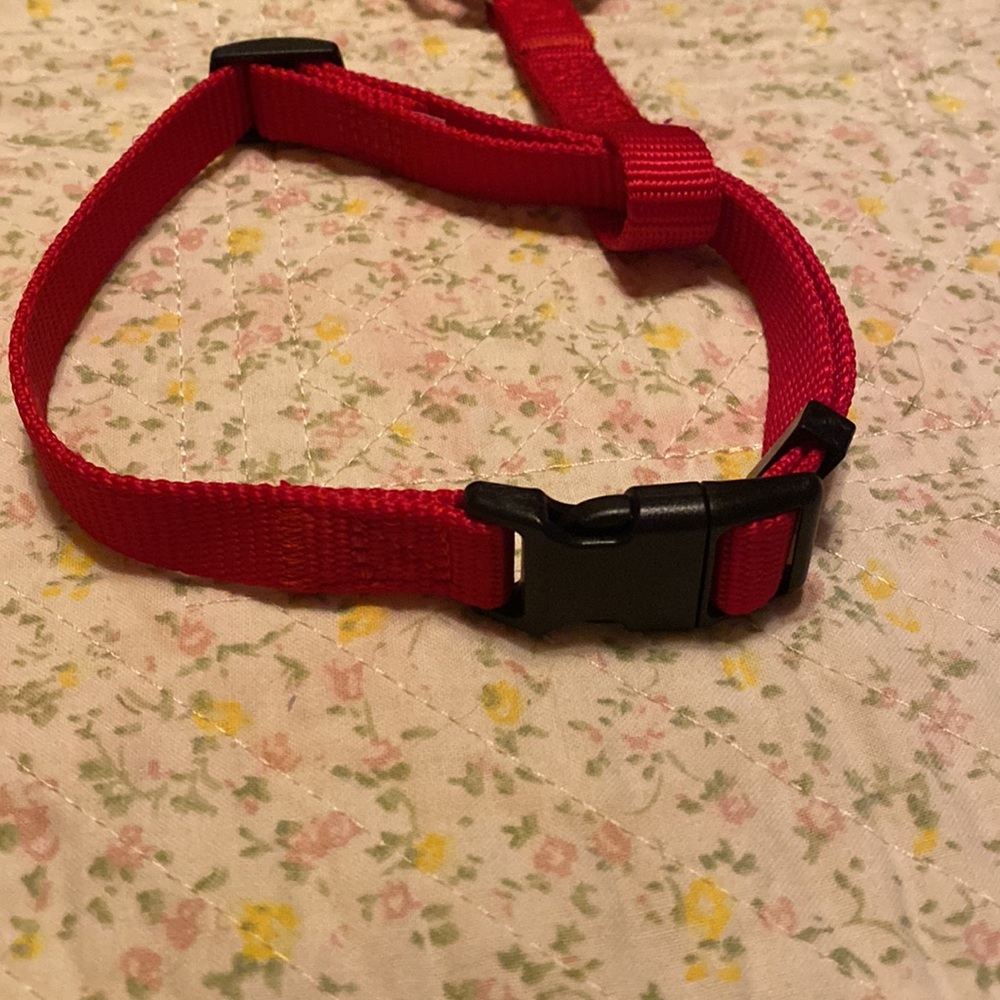 ❤️HP❤️Small Dog Harness NWOT - Picture 2 of 4